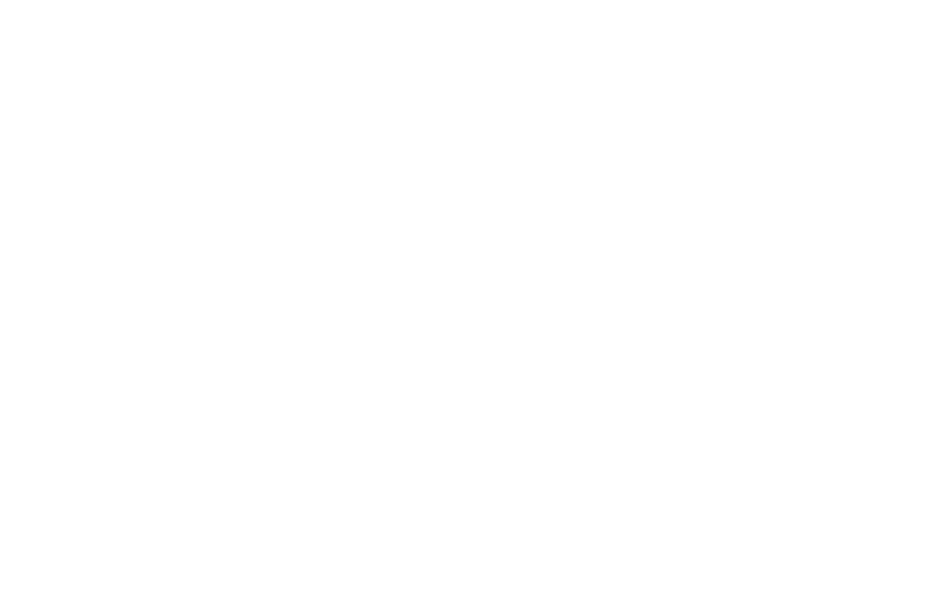 Furestiftelsen Logo KVIT